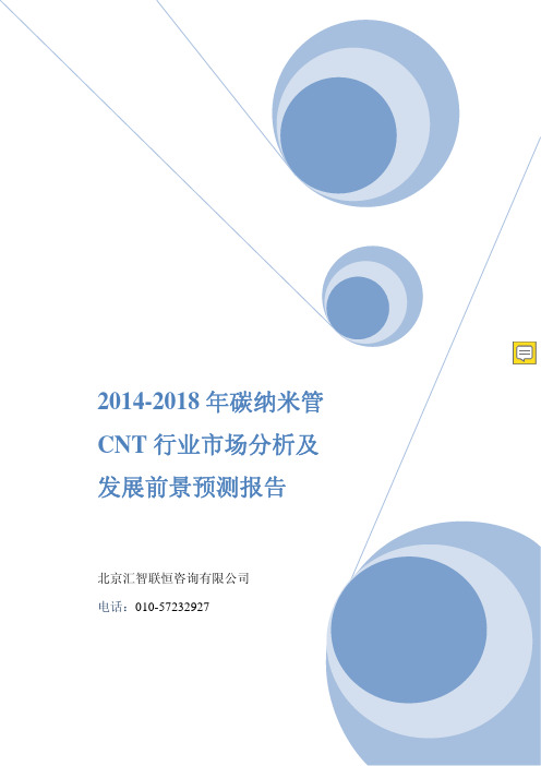 2019年碳纳米管CNT行业市场分析及发展前景预测报告