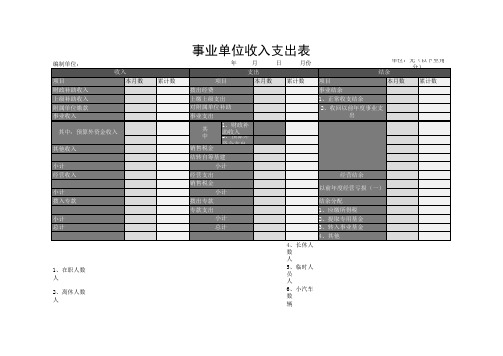 事业单位收入支出表