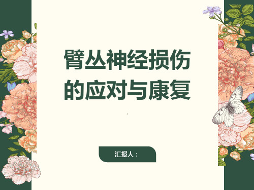 臂丛神经损伤别让它成为你生活的负担