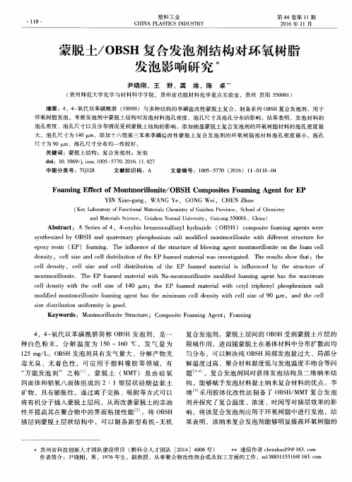 蒙脱土/OBSH复合发泡剂结构对环氧树脂发泡影响研究