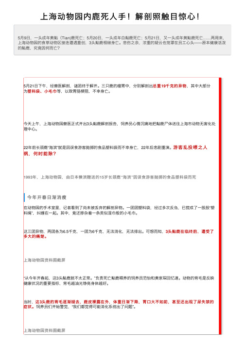 上海动物园内鹿死人手！解剖照触目惊心！