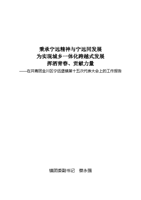 共青团宁远堡镇第十五次代表大会工作报告