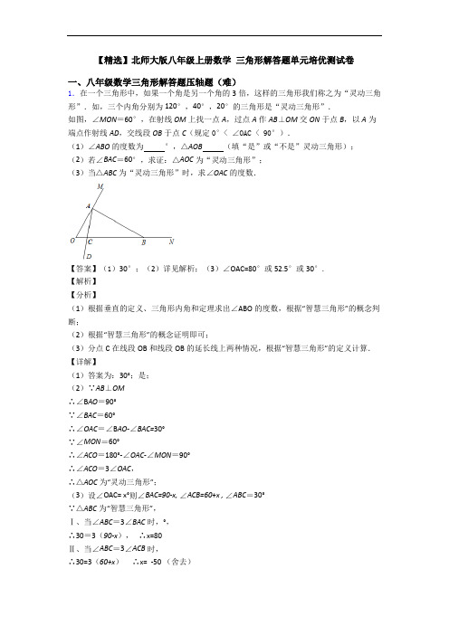 【精选】北师大版八年级上册数学 三角形解答题单元培优测试卷