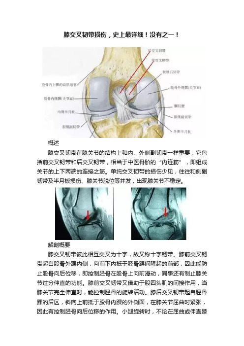 膝交叉韧带损伤，史上最详细！没有之一！