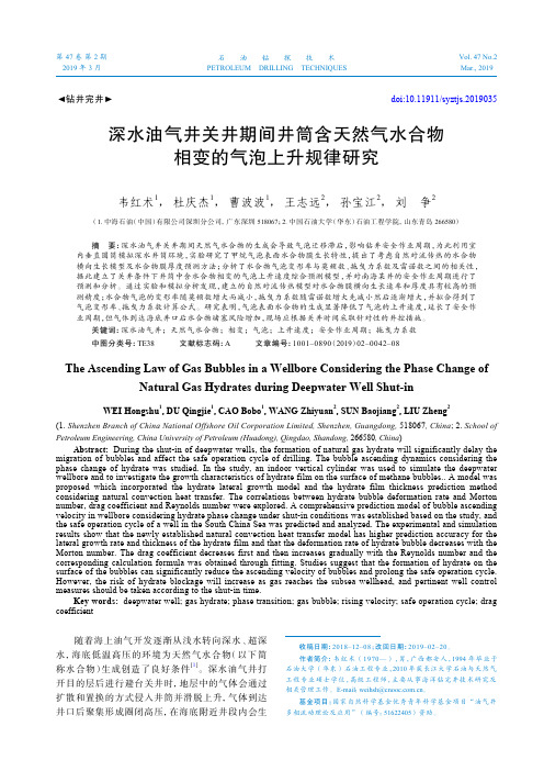 深水油气井关井期间井筒含天然气水合物相变的气泡上升规律研究