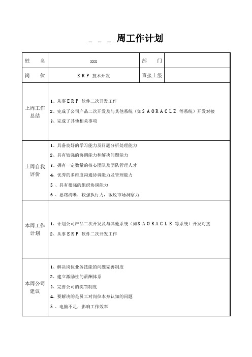 ERP技术开发周工作计划