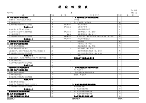 自动编制现金流量表(最新版)(1)