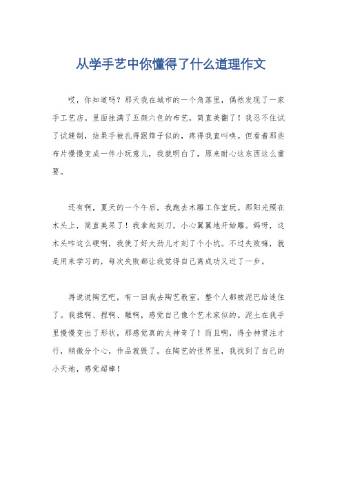 从学手艺中你懂得了什么道理作文