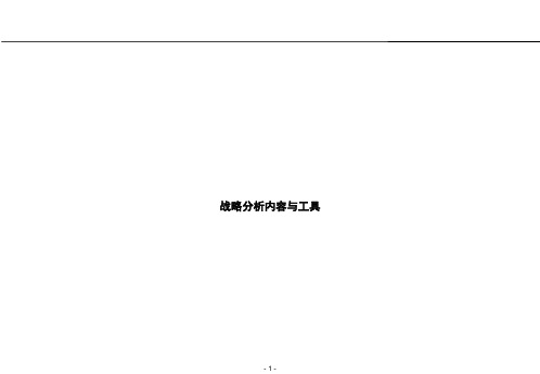 RolandBerger罗兰贝格咨询—战略分析内容和工具