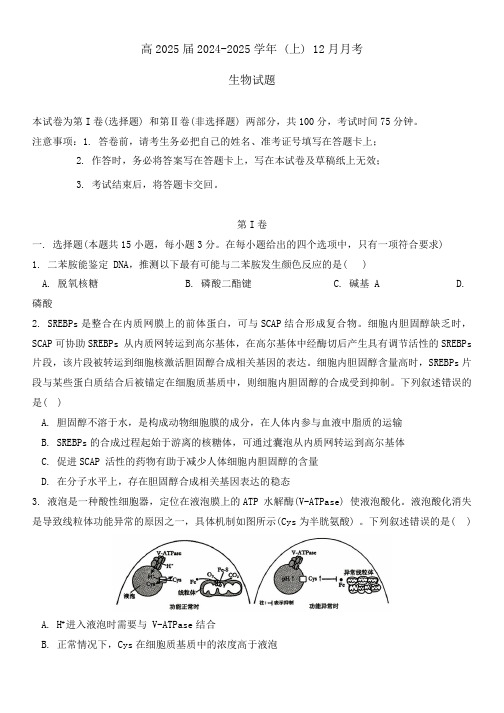 重庆市九龙坡区重庆市育才中学校2024-2025学年高三上学期12月月考生物试题