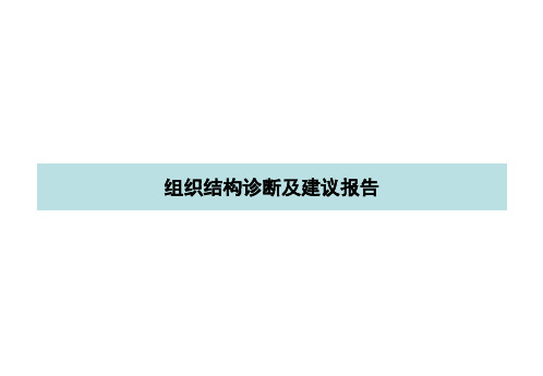 某光学仪器公司组织结构咨询诊断及建议报告组织结构课件