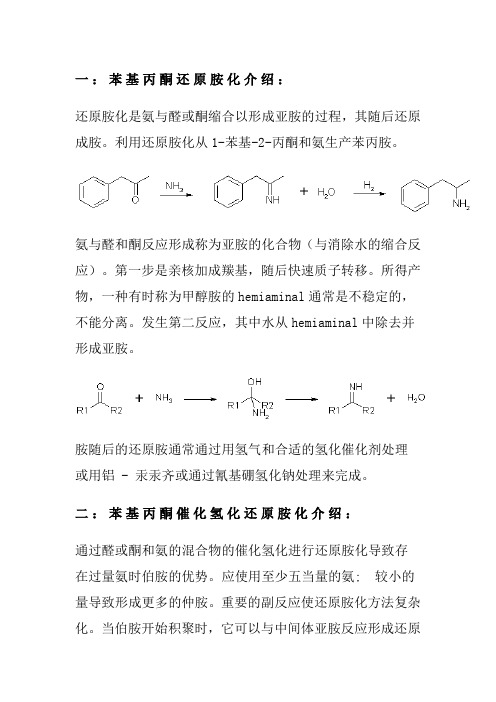 (完整word版)苯基丙酮还原胺化操作工艺的概述与参考