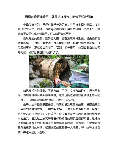 圆桶养蜂更换蜂王，就是这样操作，新蜂王带出强群