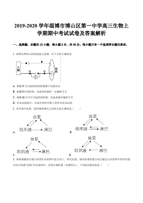 2019-2020学年淄博市博山区第一中学高三生物上学期期中考试试卷及答案解析