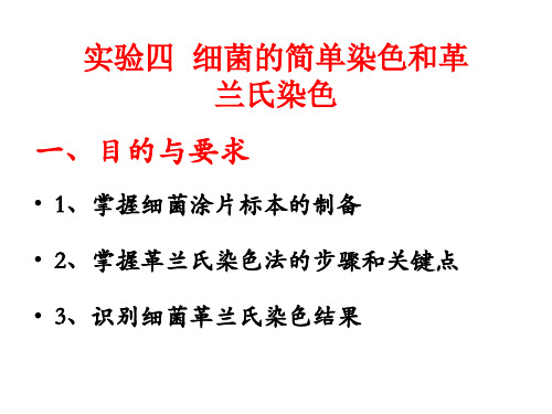 实验四 细菌的简单染色和革兰氏染色