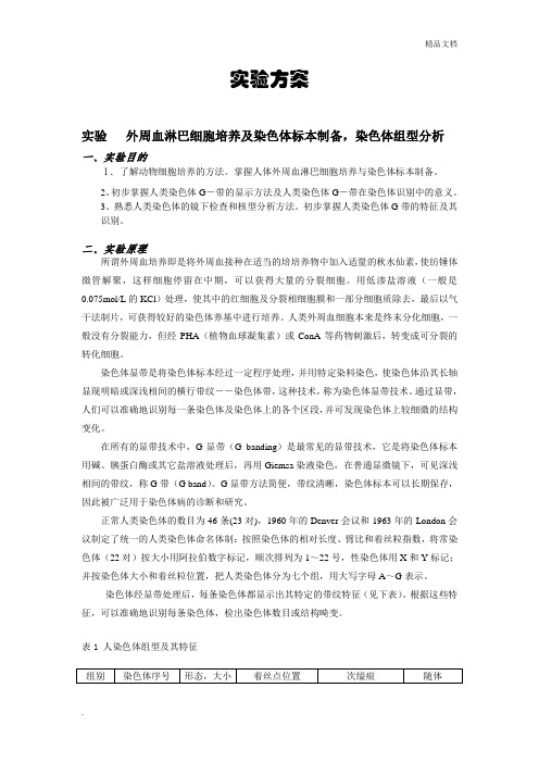 人体外周血淋巴细胞染色体制备与观察实验方案