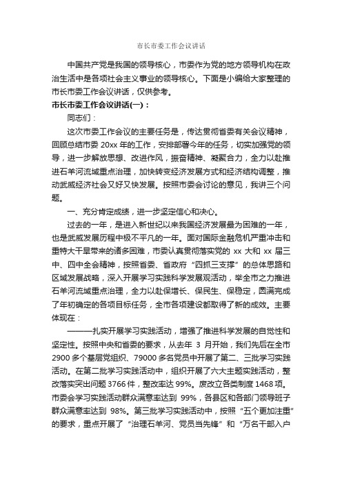 市长市委工作会议讲话_发言稿_