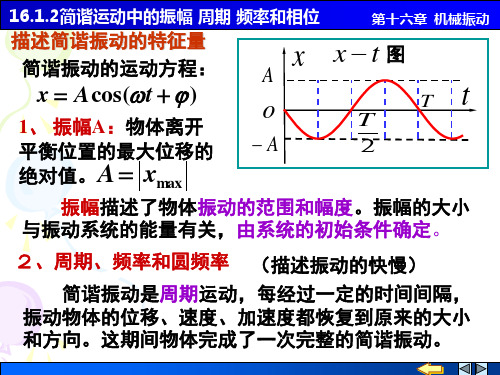 16.1.2简谐运动中的振幅 周期 频率和相位