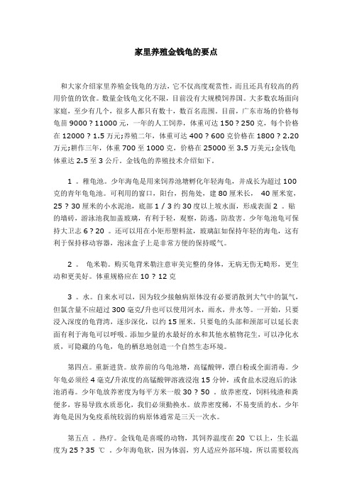 家里养殖金钱龟的技术要点