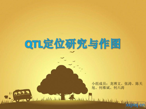 QTL定位研究与作图