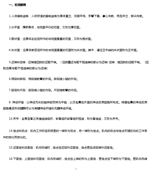 运动解剖学复习资料精华版2