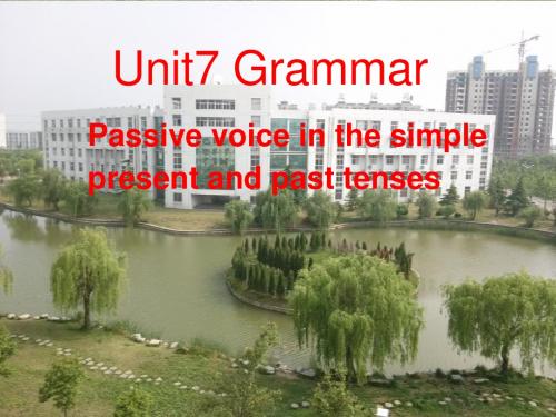 8b unit7 grammar(新版)