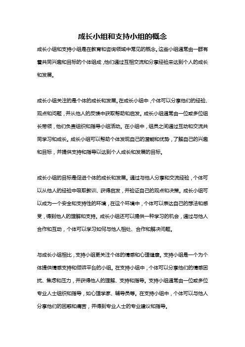 成长小组和支持小组的概念