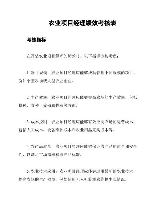 农业项目经理绩效考核表