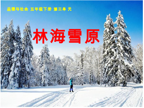 品德与社会_小学《林海雪原》课堂实录【课件设计】.ppt