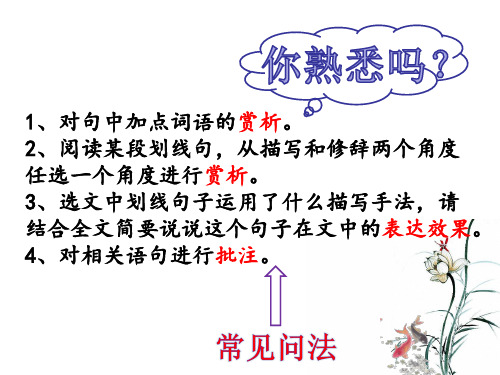 中考语文二轮复习记叙类文学作品中的句子赏析课件