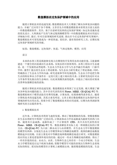 数值模拟在过鱼保护领域中的应用