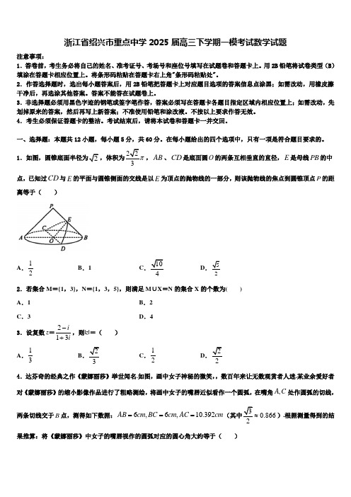 浙江省绍兴市重点中学2025届高三下学期一模考试数学试题含解析