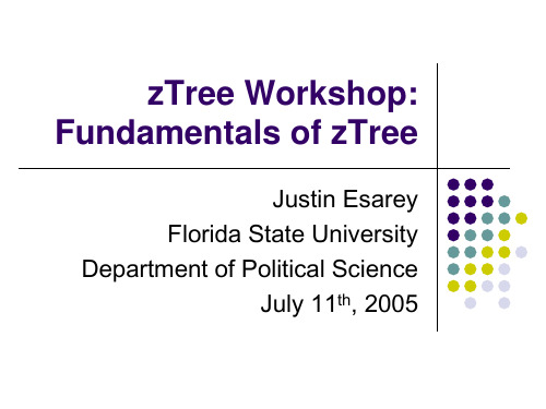 实验经济学软件ztree教程课件