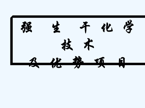 干化学技术及优势项目