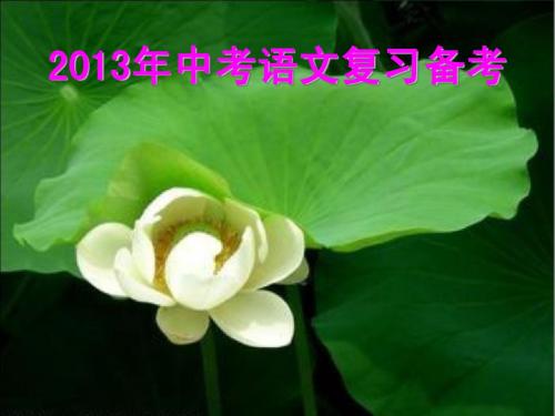 2013年中考语文复习备考课件