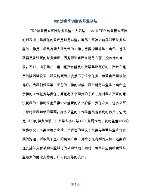 erp沙盘实训财务总监总结