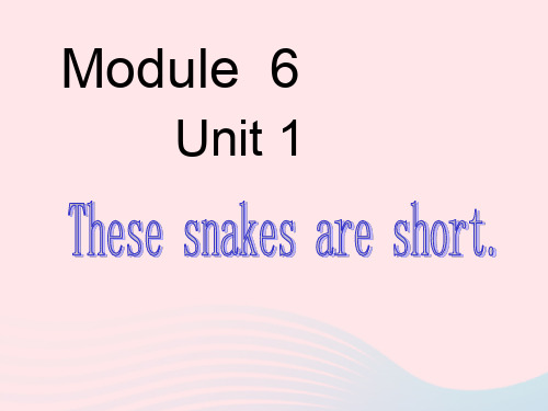 外研版一年级英语下册Module6unit1Thesesnakesareshort课件2