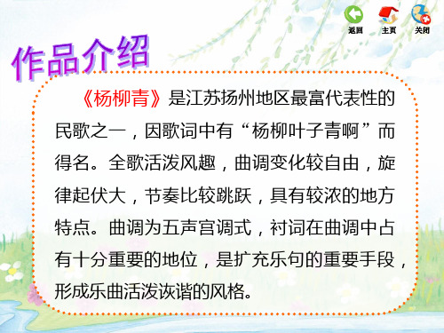 小学音乐课《杨柳青》