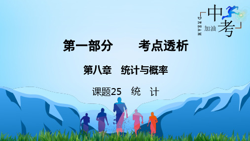 中考数学一轮复习宝典第1部分 第8章 课题25 统计