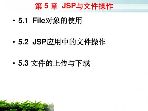 第05章JSP与文件操作解读.