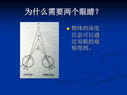 基于结构光与双目视觉