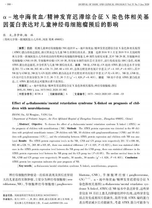 α-地中海贫血精神发育迟滞综合征X染色体相关基因蛋白表达对儿童神经母细胞瘤预后的影响