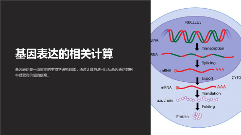 基因表达的相关计算