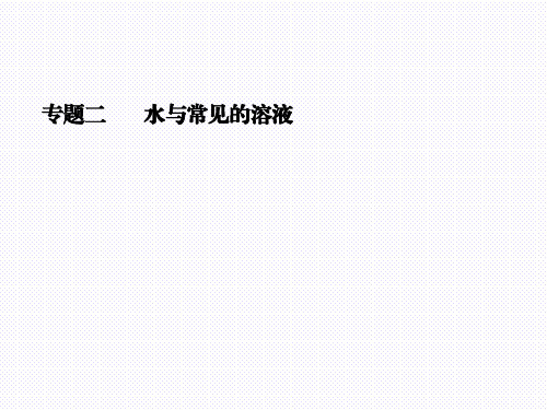 最新人教版九年级化学中考复习专题二 水与常见的溶液 (共53张PPT)