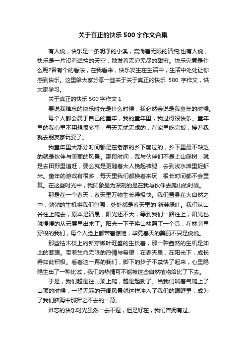 关于真正的快乐500字作文合集