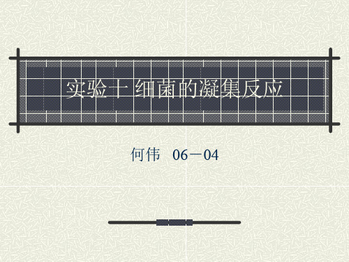 实验十 细菌的凝集反应