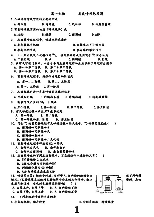 有氧呼吸练习题