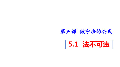 法不可违 部编版道德与法治八年级上册 (1)