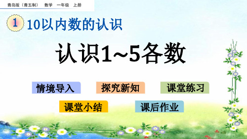 【名师课件】青岛版一上  1、10以内数的认识 1.1 认识1~5各数