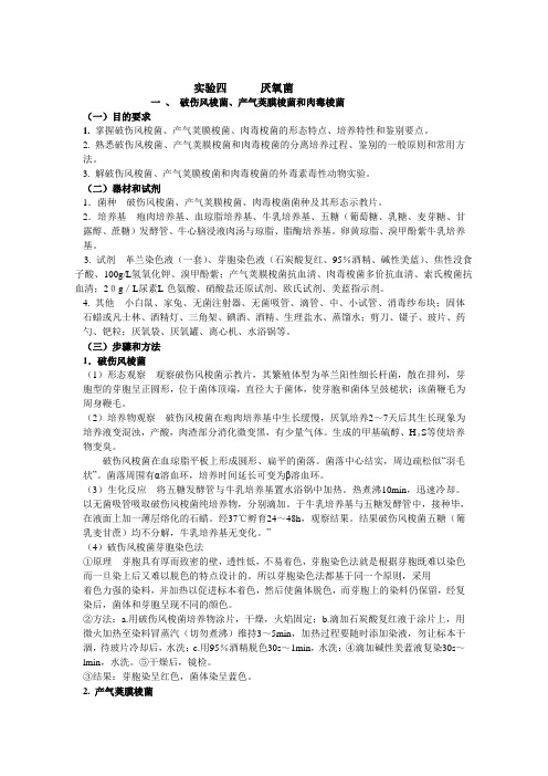 破伤风梭菌